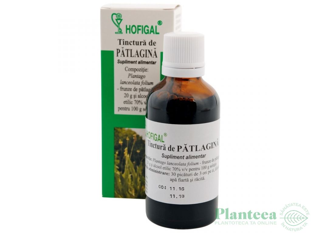 Tinctura patlagina 50ml - HOFIGAL