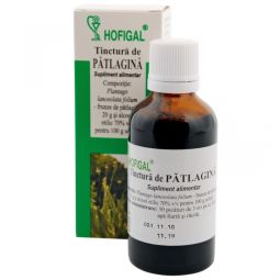 Tinctura patlagina 50ml - HOFIGAL