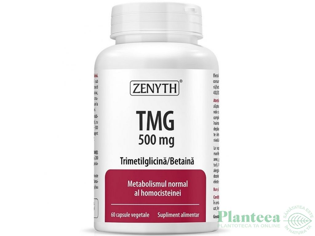 TMG 500mg 60cps - ZENYTH