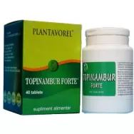 Topinambur forte 40cp - PLANTAVOREL