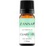 Ulei esential camfor alb 10ml - ZANNA