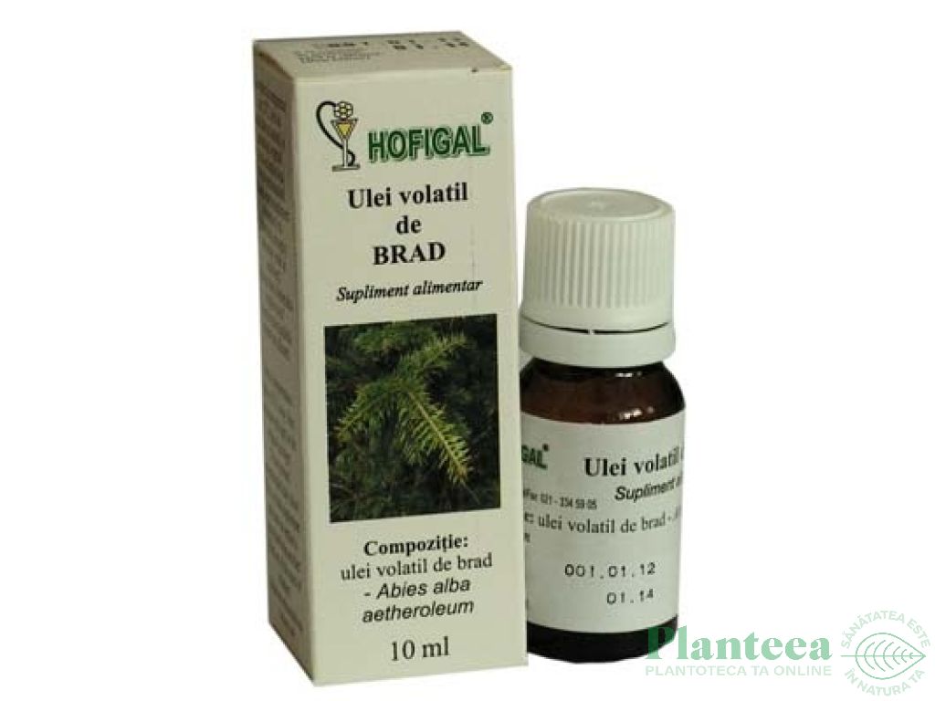 Ulei esential brad 10ml - HOFIGAL