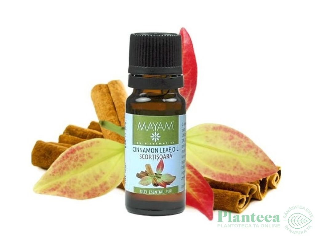 Ulei esential scortisoara frunze 10ml - MAYAM