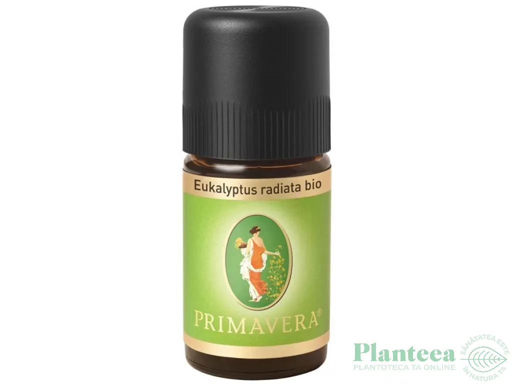 Ulei esential eucalipt australian radiata eco 5ml - PRIMAVERA LIFE
