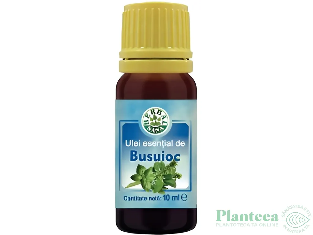 Ulei esential busuioc 10ml - HERBAL SANA