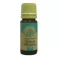 Ulei esential cedru 10ml - HERBAL SANA