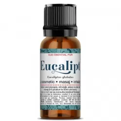 Ulei esential eucalipt uz extern 10ml - SANTO RAPHAEL