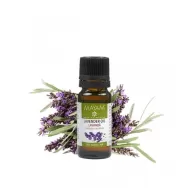 Ulei esential lavanda pur conventional 10ml - MAYAM