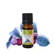 Ulei esential wintergreen 10ml - MAYAM