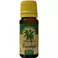 Ulei esential eucalipt 10ml - HERBAL SANA