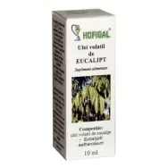 Ulei esential eucalipt 10ml - HOFIGAL