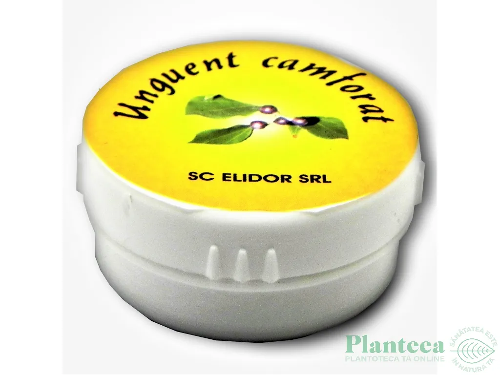 Unguent camforat 20g - ELIDOR