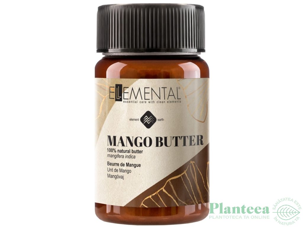 Unt mango pur 100ml - MAYAM