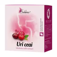 Ceai Uri [sanatate cai urinare] 50g - DACIA PLANT