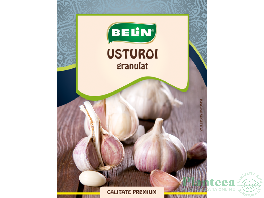 Condiment usturoi granulat 20g - BELIN