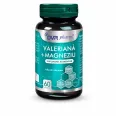 Valeriana magneziu 1x60cps - DVR PHARM