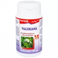 Valeriana 40cps - FAVISAN