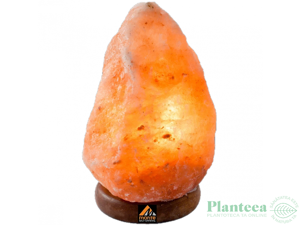 Veioza sare himalaya natur suport lemn 2_3kg - MONTE SALT CRYSTAL