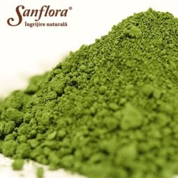 Pigment cosmetic mineral verde 10g - SANFLORA