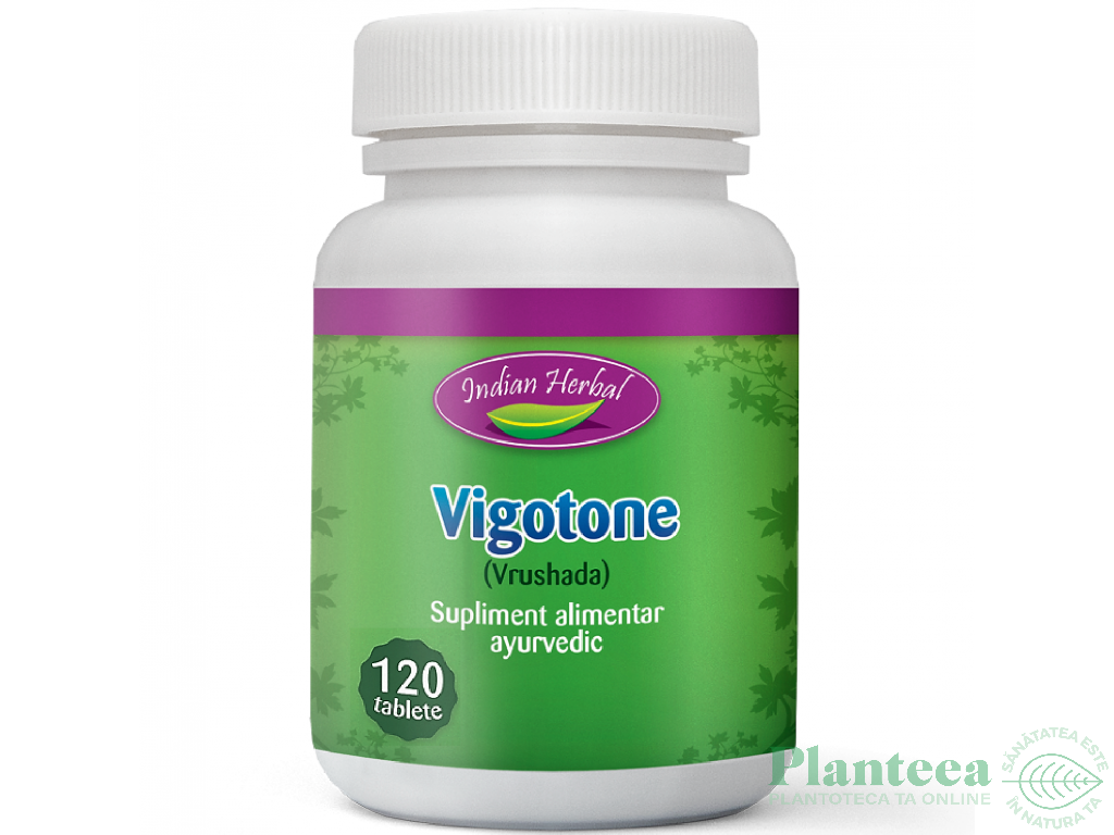 Vigotone 120tb - INDIAN HERBAL