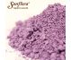 Pigment cosmetic mineral violet 10g - SANFLORA