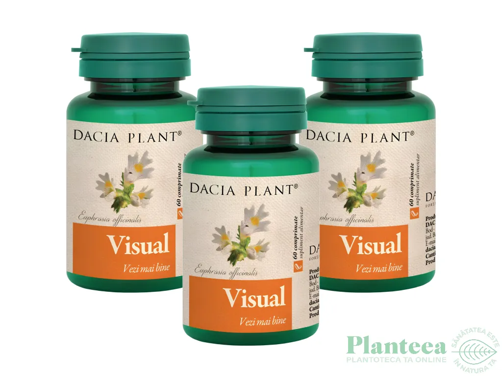 Set Visual 3x60cp - DACIA PLANT