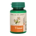 Visual 60cp - DACIA PLANT
