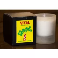 Candela sticla ceara soia 40h Vital 130g - D`ECO