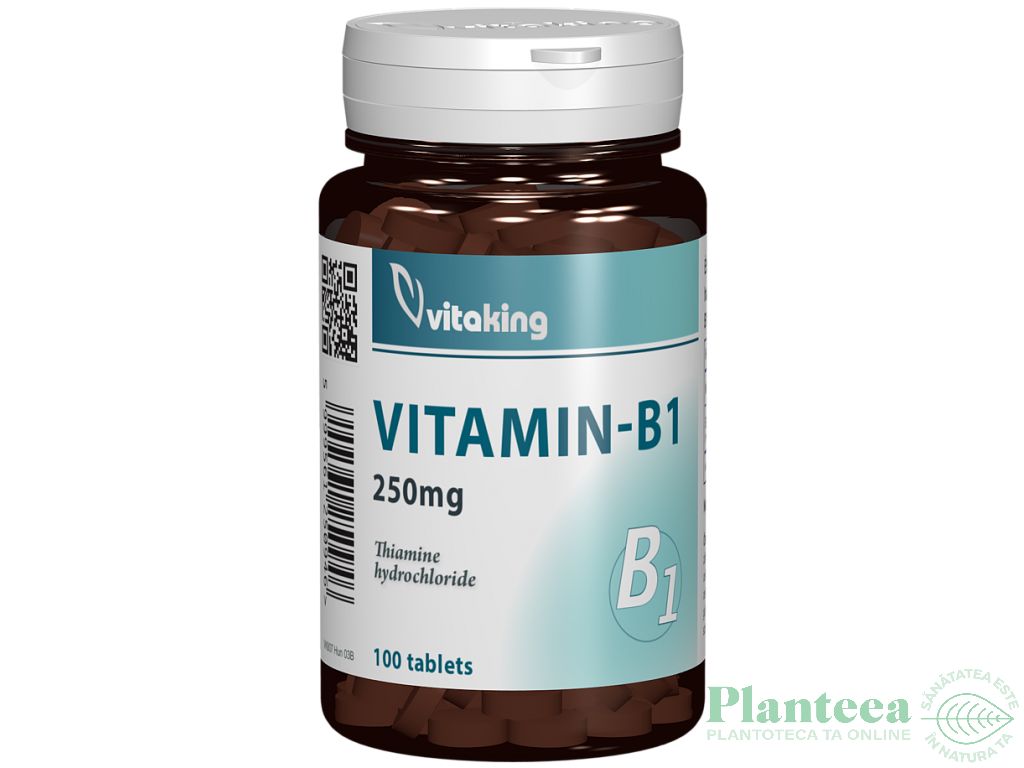 Vitamina B1 250mg 100cp - VITAKING