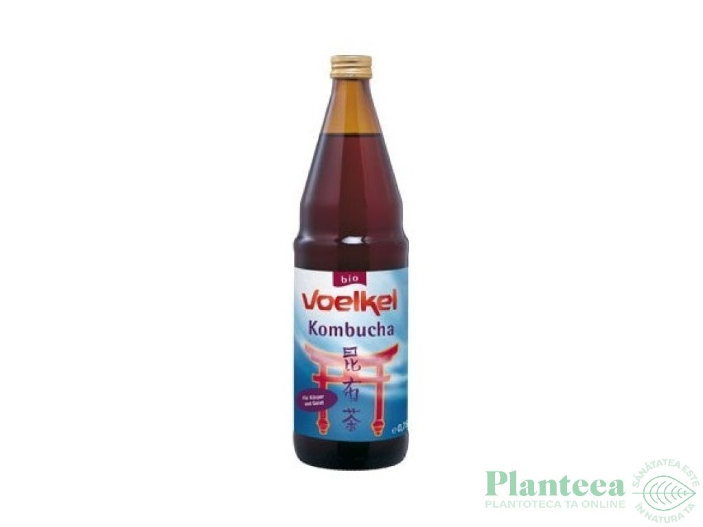 Bautura kombucha eco 750ml - VOELKEL