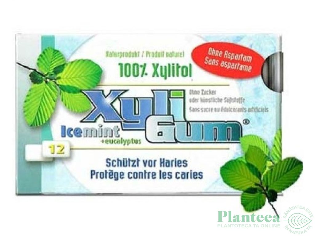 Guma mestecat xylitol menta 10,8g - VTALITY