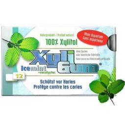 Guma mestecat xylitol menta 10,8g - VTALITY