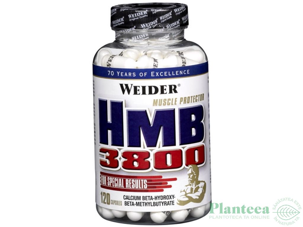 HMB 3800 120cps - WEIDER