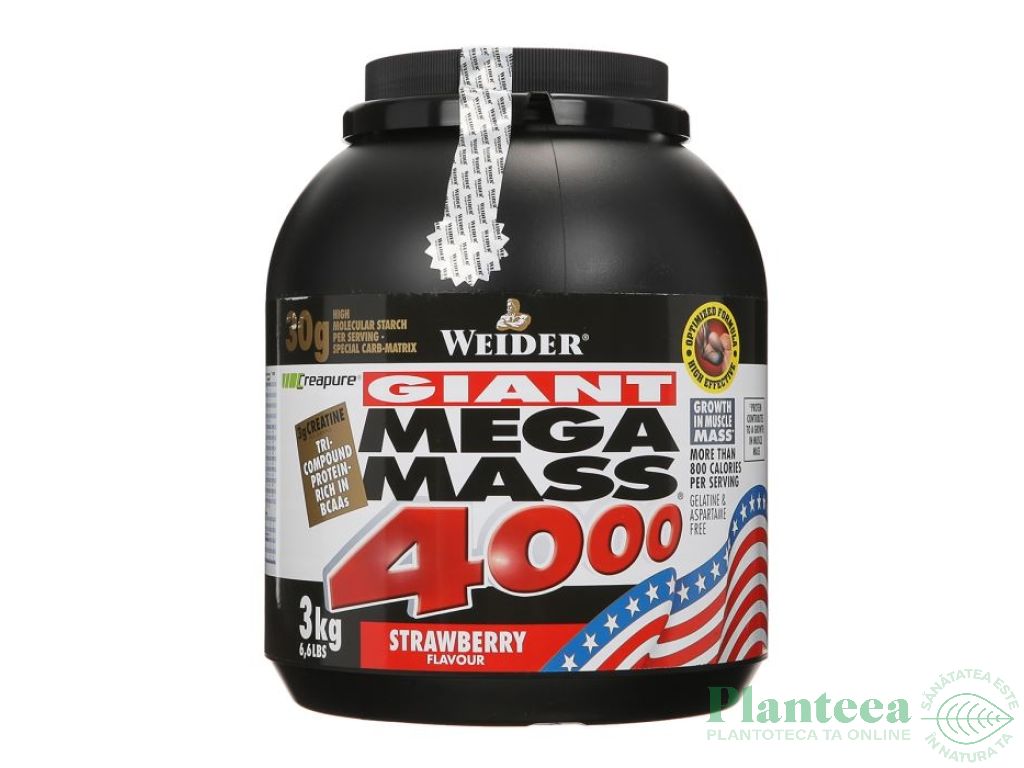 Gigant mega mass 4000 capsuni 3kg - WEIDER