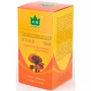 Ganoderma 120cps - YONG KANG