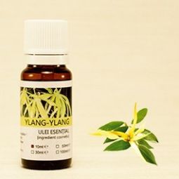 Ulei esential ylang ylang 10ml - SANFLORA