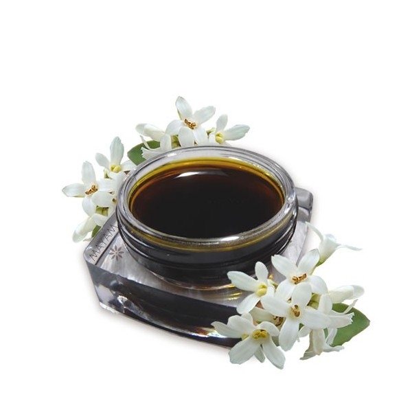 Absolut osmanthus 1ml - MAYAM
