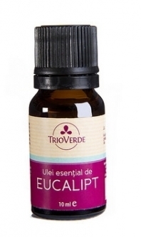 Ulei esential eucalipt 10ml - TRIO VERDE