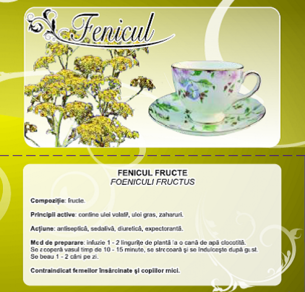 Ceai fenicul 50g - CYANI