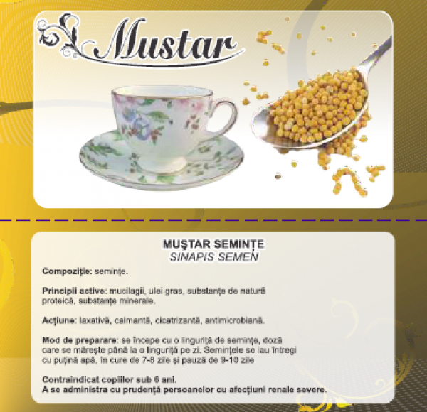 Condiment mustar boabe 50g - CYANI