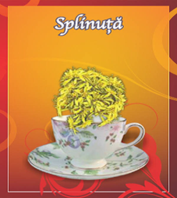 Ceai splinuta 50g - CYANI
