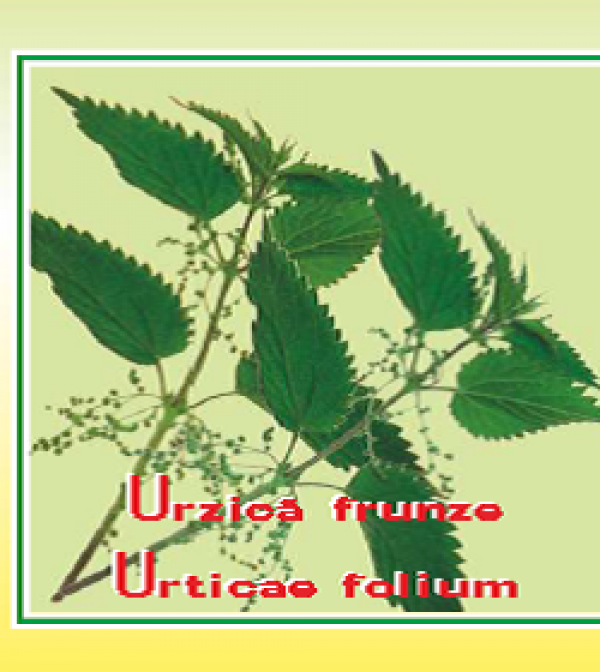 Ceai urzica vie 50g - CYANI