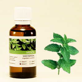 Ulei esential menta 10ml - SANFLORA