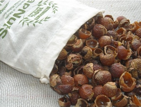 Nuci sapun 250g - ECOERA PLAN