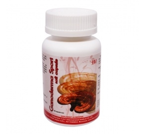 Ganoderma spori 60cps - TZF INTERNATIONAL MEDICAL