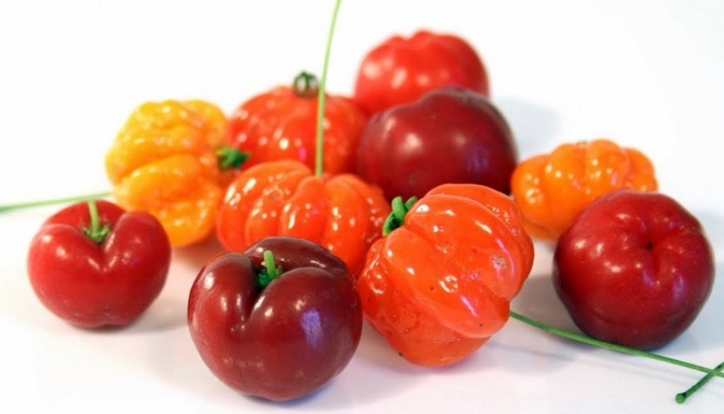 Pulbere acerola 60g - EVERTRUST