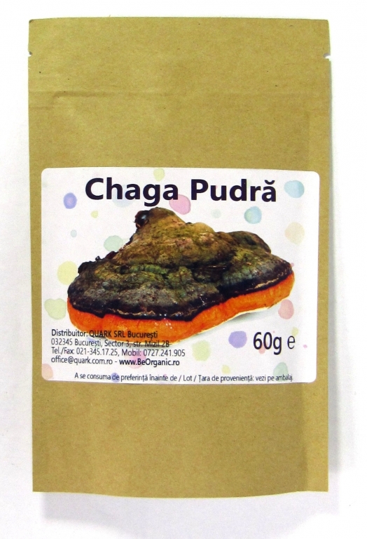 Pulbere chaga 60g - EVERTRUST