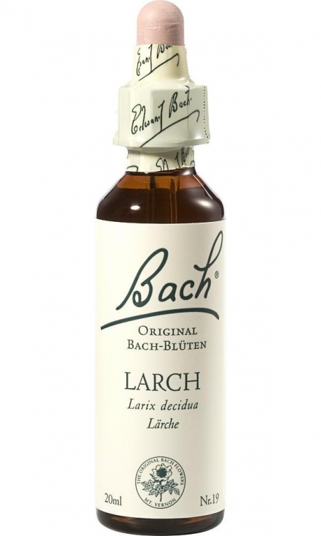 Picaturi florale larch nr19 20ml - BACH REMEDIES