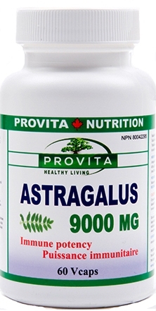 Astragalus 9000mg 60cps - PROVITA NUTRITION