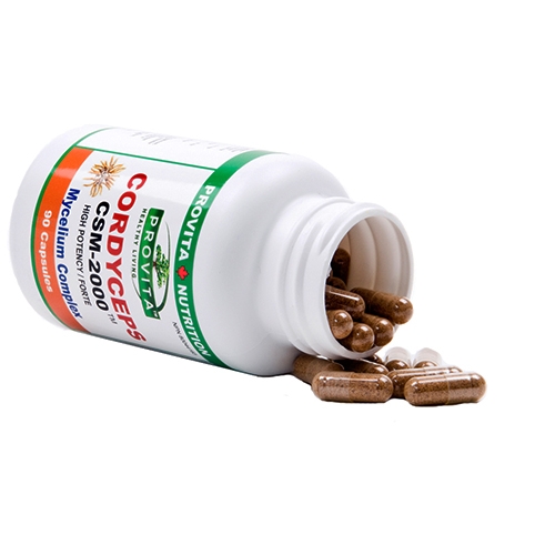 Cordyceps CSM 2000 90cps - PROVITA NUTRITION